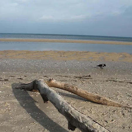 Διαμέρισμα Charlotte *