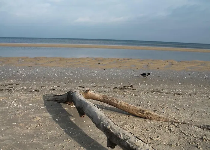 Apartament Charlotte *